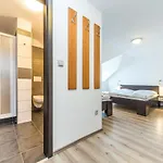 Nova Hospoda - & Restaurant Hotel Prague